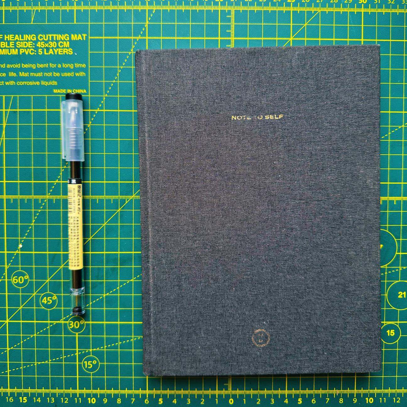 Journal 01