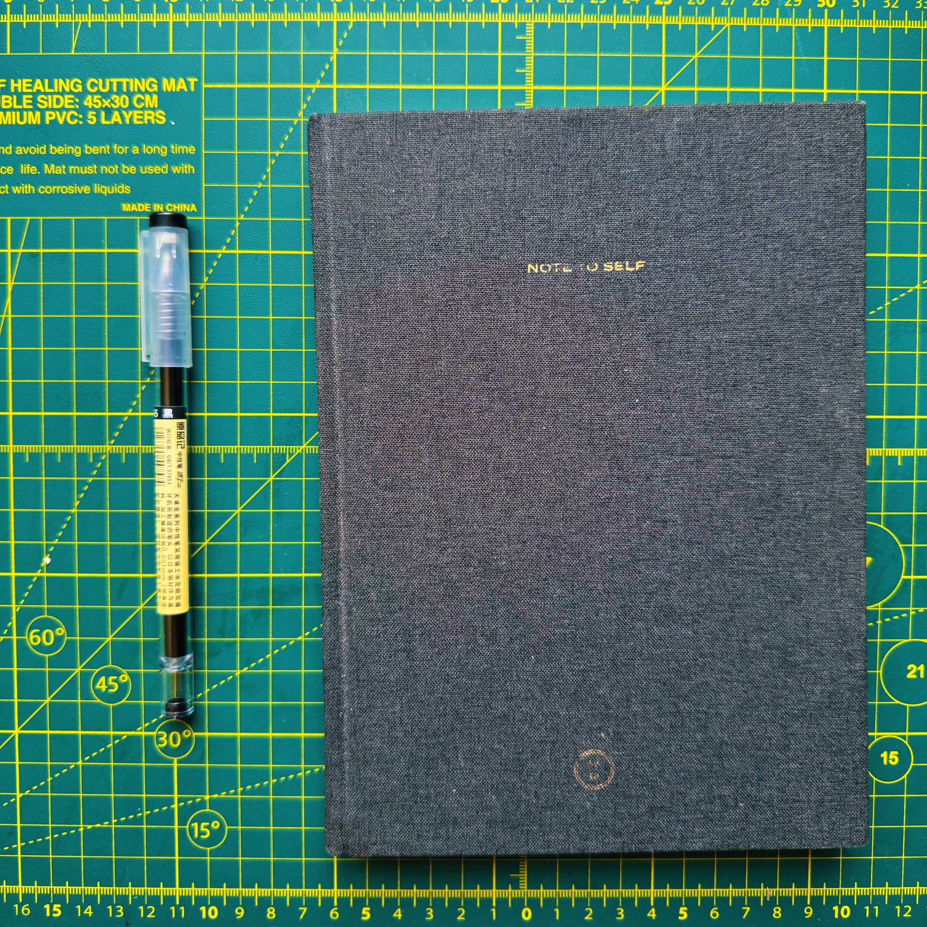 Journal 01