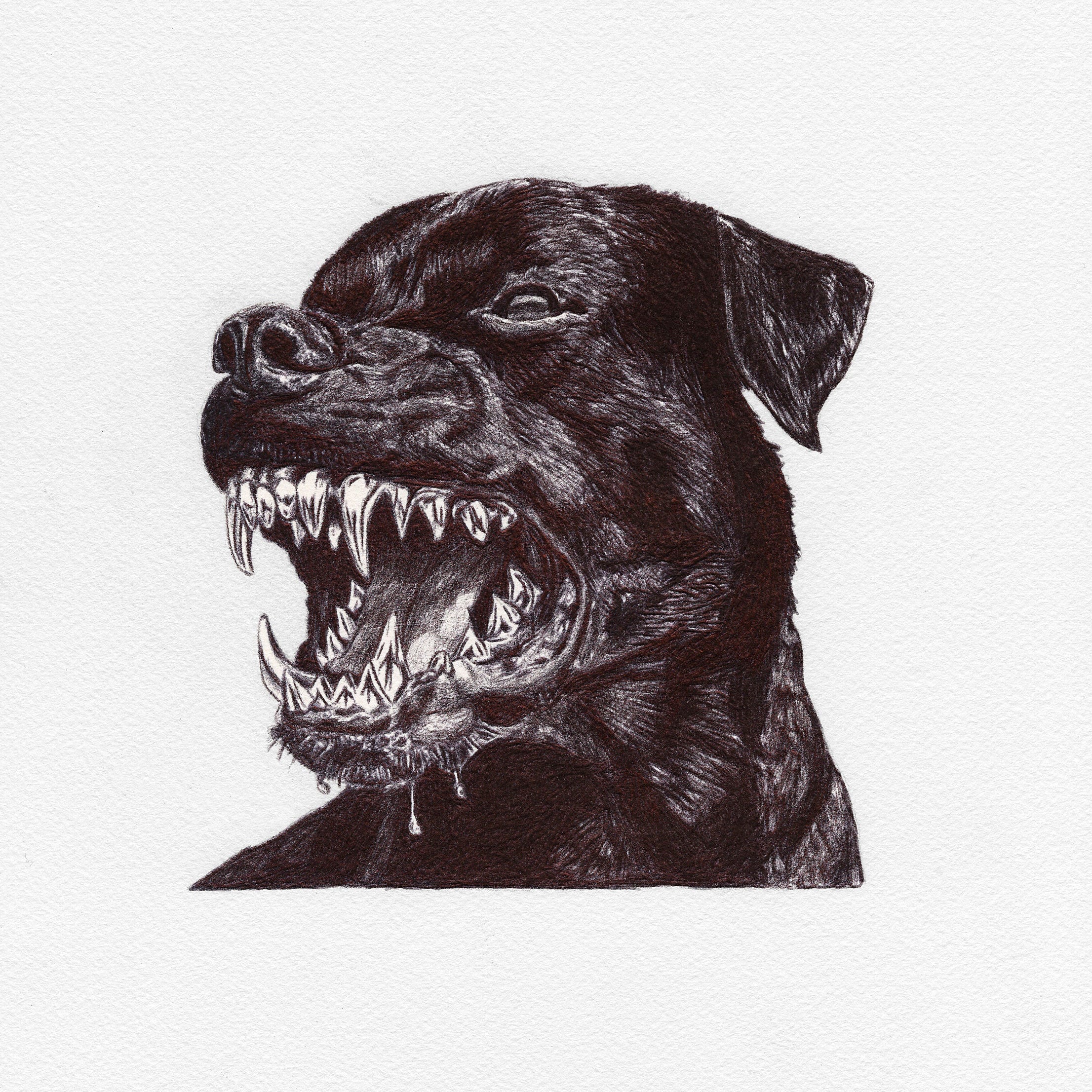 All Bite Print